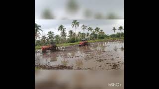 തലയാഴം പഞ്ചായത്ത് മൂന്നാം വാർഡിൽ രക്തശാലി,പാലക്കാടൻ മട്ടൻ എന്നീ ഇനങ്ങൾ ജൈവ കൃഷിക്ക്