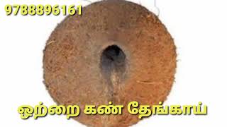 தொழில் முடக்கம் பணம் முடக்கம் கண் திருஷ்டி செய்வினை பாதிப்புகள் விலக