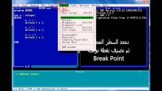 How to debug your code with pascal