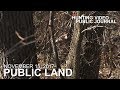 Public Land Day 31: Giant Buck at 30 Yards | The Hunting Public