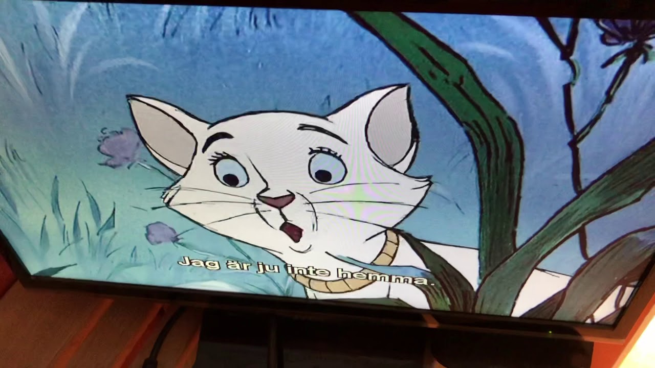 Jacob B Aristocats Dvd Filmen. - YouTube