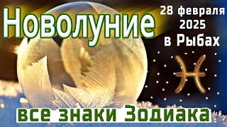 🌙НОВОЛУНИЕ 28 ФЕВРАЛЯ В РЫБАХ🌙ЧТО ПРИНЕСЁТ  ВСЕМ ЗНАКАМ ЗОДИАКА🌙NEW MOON FEBRUARY 28 IN PISCES