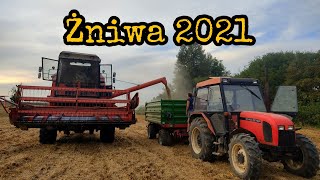 🌾 Żniwa 2021🌾~ W akcji Bizon Z56/ Zetor 5340/ Przyczepa Pronar PT606/ John Deere 7430