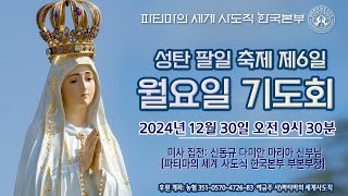 성탄 팔일 축제 제6일 월요일 기도회[20241230] :: 파티마의 세계 사도직 한국본부