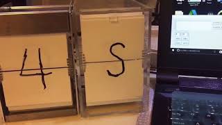 programmed split flap display