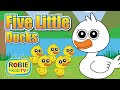 Five Little Ducks And More Nursery Rhymes and Kids Songs | ROBIEKidsTV