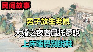 民間故事合集：男子放生老鼠，大婚之夜老鼠托夢說，上床睡覺別脫鞋