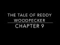 The Tale of Reddy Woodpecker Chapter 9 - Children's Classic Audio Books