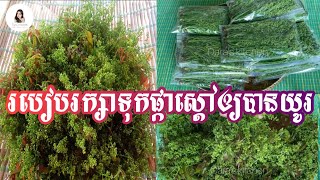 How to Preserve Neem Flowers គន្លឹះក្នុងការរក្សាទុកស្តៅអោយបានយូរ_Dara's Kitchen