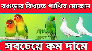 বগুড়া শহরের বিখ্যাত কবুতর ও পাখির দোকান ৷ সবচেয়ে কম দামে পাখি ও কবুতর কিনুন ৷ Adcenture with Bayzid