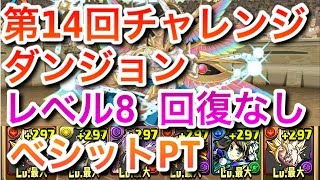 【パズドラ】第14回チャレンジダンジョン　レベル8　回復なし　ベジットPT