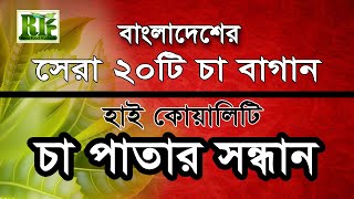 প্রথম শ্রেণীর 20 টি চা বাগানের নাম ৷৷ ব্লেন্ডিং এর জন্য সেরা মানের চা পাতা কোথায় পাবেন ৷৷ চট্টগ্রাম