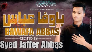 BAWAFA ABBAS (A.S) | SYED JAFFER ABBAS | NOHAY 2023 | MUHARRAM 2023/1445
