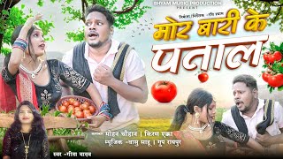 मोर बारी के पताल ©MOR BARI KE PATAL ©गीता यादव CG VDO SONG ©रवि श्याम @shyammusicproduction767