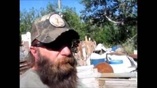 Idaho Hillbilly Homestead #227 Building a 50 Dollar Cabin (shed) Reclaim Recycle Reuse