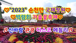 #2023#순천만국가정원박람회#가을꽃축제#4kvideo#SONY#FDR#ax700 #신바람관광디스코메들리#고속도로관광메들리#뽕짝디스코메들리#갈매기오부리디스코메들리#신나는관광메들리