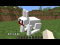 【羊影子】minecraft當個創世神——關於兔子你不知道的10個冷知識