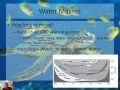 The Deep Circulation of the Ocean 2/2