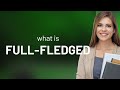 Full-fledged | FULL-FLEDGED definition