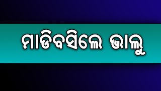 ମାଡି ବସିଲେ ଭାଲୁ | Odia News Live Updates | Latest Odia News | Samayalive