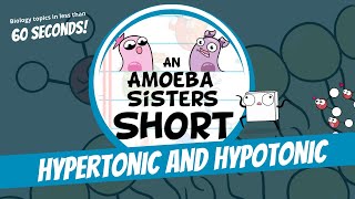 Hypertonic and Hypotonic - Amoeba Sisters #Shorts