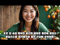 당뇨에 좋은 과일 감 하루 적정 섭취량과 효능부터 보관법까지 완벽 정리