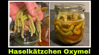 Haselkätzchen Oxymel ansetzen | Haselblüten | Haselnuss Blüten | Selbstversorgung: Hasel