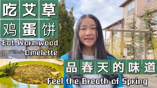 你知道艾草可以这样吃吗？艾草的益处（With CC）Benefits of Wormwood，How to Eat？ #wormwood #cooking wormwood omelette