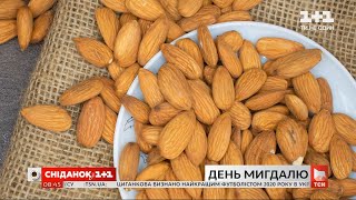 Еталонний здоровий продукт: цікаві факти про мигдаль