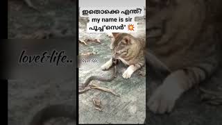 ഇതൊക്കെ എന്ത്?? 🤣🤣🤣