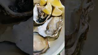 如何開生蠔/蚵仔？丨How to open an oyster？￼