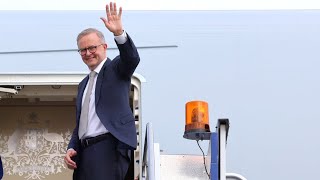 ‘Well done’: Albanese mocked in satire  about his frequent flights