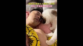 貓咪喜歡抱著主人睡，把熟睡中的主人熱醒，網友：可愛的貓咪頭套！