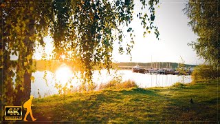 Walking at Sunrise in the Harbor ⛵ Loviisa, Finland