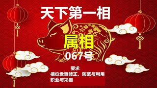 067：采相与家底实际实力成正比，贵合对人的一生无比重要。请看067号教学片。