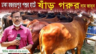 ছোট/বড় ষাড় গরুর মূল্য জেনেনিন - ঢাকা কেরানীগঞ্জ হযরতপুর হাট -Cow Market in Bangladesh keraniganj Hat