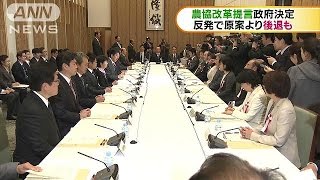 農協改革提言を政府決定　改革期限は反発受け削除(16/11/29)