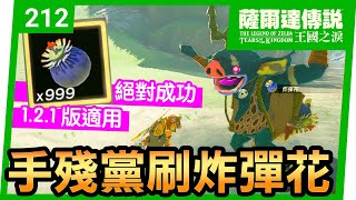 【薩爾達傳說 王國之淚】212-手殘黨刷炸彈花！絕對成功方法(Tears of the Kingdom)