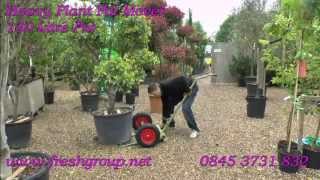 Heavy Plant Pot Mover for 130 litre Pots