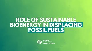 Webinar - Lessons so far: the Role of Sustainable Bioenergy in displacing Fossil Fuels