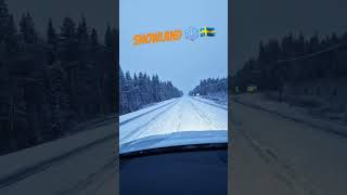 Iceroads of Sweden ❄️🌲 E95