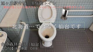 △【TOTO】洋式便器　C416#SC1｜台原森林公園（仙台）