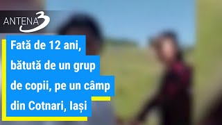 Fată de 12 ani, bătută de un grup de copii, pe un câmp din Cotnari, Iași