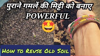 पुराने गमलें की मिट्टी को पावरफुल कैसे बनाए |How to use old soil |soil mixture for flowering plants