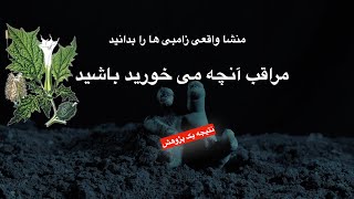 آیا زامبی ها می آیند؟ با ماهیت واقعی زامبی ها آشنا شوید