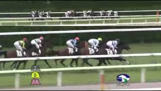 2013年 2歳新馬 / バウンスシャッセ