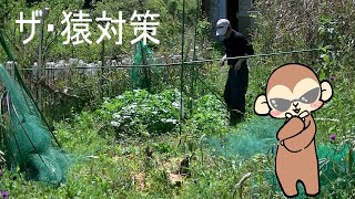 【山小屋生活】【VLOG】ジャガイモの猿対策で長時間作業