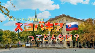 【のりのリトアニア留学日記8 】〜スロバキア編〜　たったの3時間でどこまで観光できたのか。古き良き町並みをご覧あれ！#europe #vlog #ヨーロッパ #スロバキア #ブラチスラバ #大学生