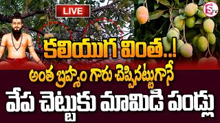 LIVE🔴: కలియుగ వింత  అంత బ్రహ్మం గారు చెప్పినట్టుగానే | Latest News Update | #sumantvmahabubabad