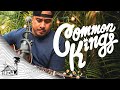 Common Kings - No Other Love (Live Music) | Sugarshack Sessions